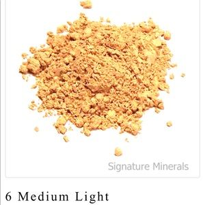Signature Minerals Makeup Powder Foundation